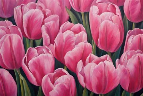 Pink Tulip Flowers For Background Free Stock Photo - Public Domain Pictures