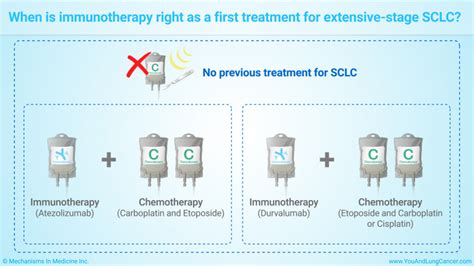 Slide Show - Immunotherapy Treatments for Small Cell Lung Cancer (SCLC)