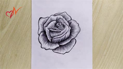 How to draw a realistic rose so easily || Pencil sketch drawing for ...