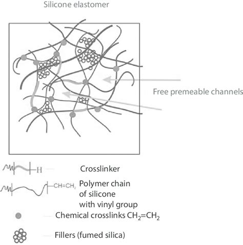 7 Example of the network of the silicone elastomer with free permeable... | Download Scientific ...