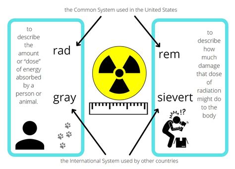 Sieverts Of Radiation