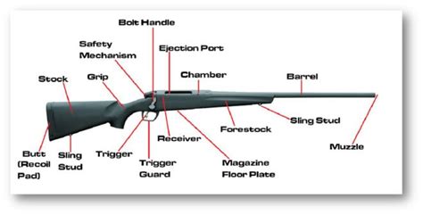 Writer Tip: Don't know the name of X component? Google Image Search "Anatomy of" or "Diagram of ...