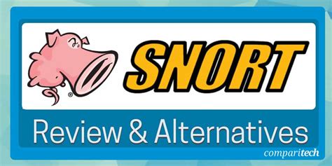 Snort Review for 2024 & the Best Alternatives (Paid & Free)