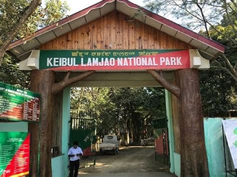 Keibul Lamjao National Park, Imphal - Safari Timing, Ticket Fee & Photos