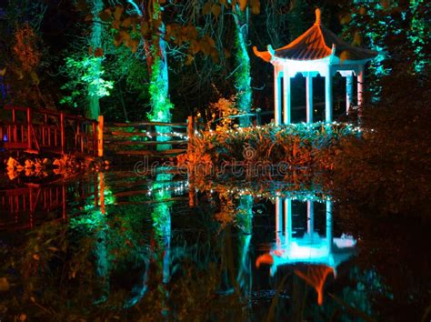 Forest, Wooden Bridge and Lake at Night Stock Image - Image of ...