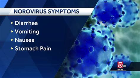 Mass. doctor on surge in norovirus cases in New England