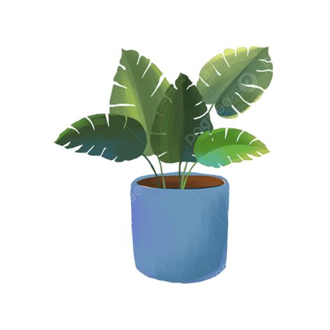 Plantas En Macetas PNG , Plantas Verdes, Planta, Plantas En Macetas PNG PNG Imagen para Descarga ...