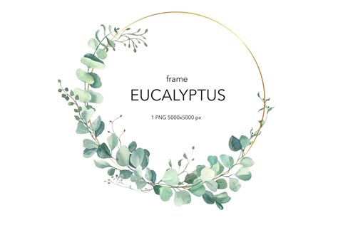 Image Result For Eucalyptus Wreath Clip Art Wreath Cl - vrogue.co