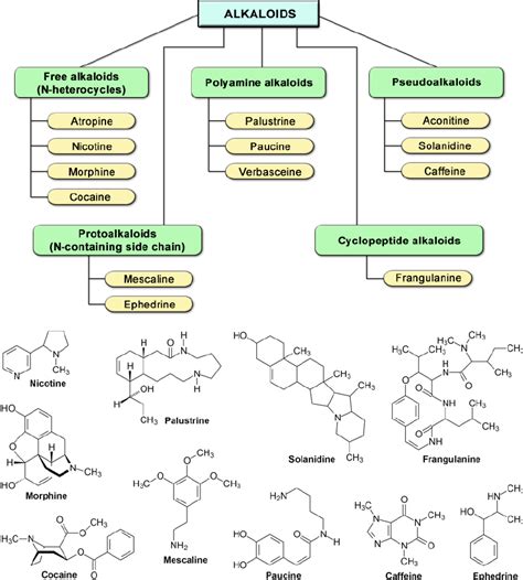 Major alkaloid subgroups and chemical structures of some ...