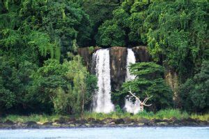 Top 10 Vanuatu Festivals & Cultural Events - A Local's Guide