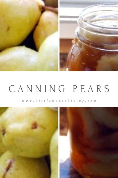 Canning Pears - How to Can Pears