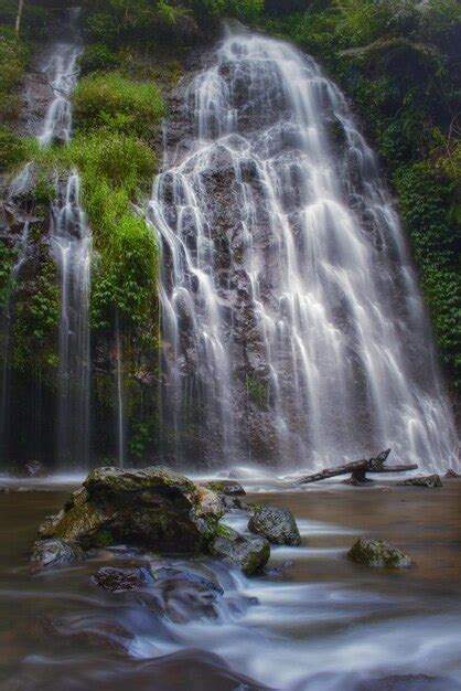 Premium Photo | Serene waterfall in a picturesque forest