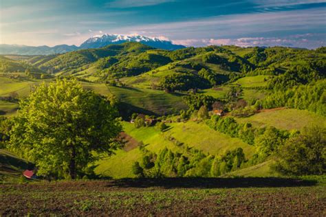 63,500+ Romania Countryside Stock Photos, Pictures & Royalty-Free Images - iStock