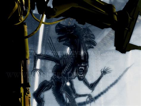 ALIENS : final fight by RoguePL on DeviantArt