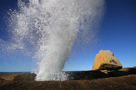 The Bicheno Blowhole: Geology at its Most Playful ~ Kuriositas