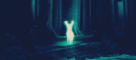 Patronus | Harry Potter Verse ↯