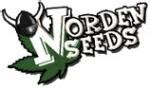 Auto Viking NL (Norden Seeds) :: Cannabis Strain Info