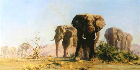 David Shepherd CBE 1931 – 2017 | Wildlife paintings, Elephant art ...