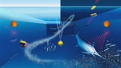 In the Ocean Twilight Zone, Life Remains a Mystery – Woods Hole Oceanographic Institution