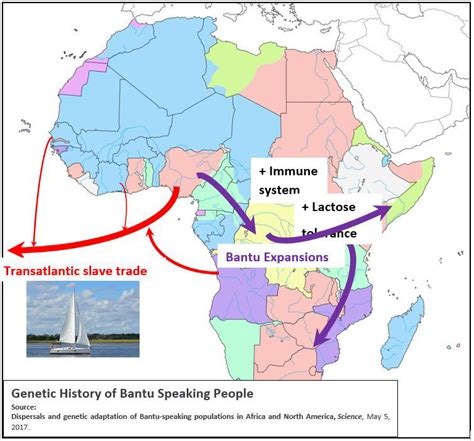 Causes of Bantu migrations - Bantu Lingual