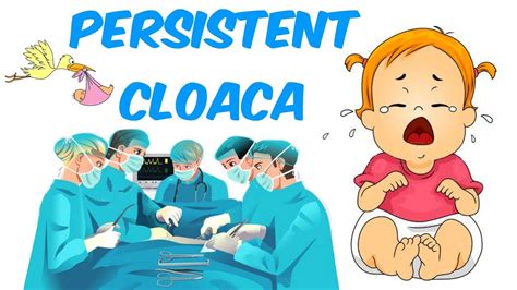 Persistent Cloaca! - YouTube