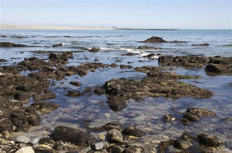 Cabrillo Coastal Park | Cabrillo Marine Aquarium