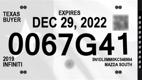 2024 Florida License Plates - Cindra Ronalda