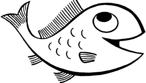 Free Fish Drawing Pictures, Download Free Fish Drawing Pictures png images, Free ClipArts on ...