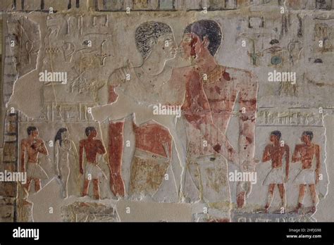 Scenes from the Tomb of Khnumhotep and Niankhkhnum, Saqqara Stock Photo - Alamy