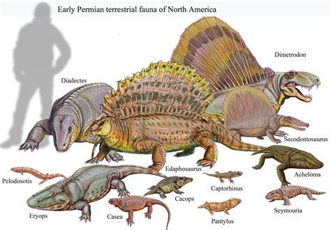 Citatations - The Paleozoic Era