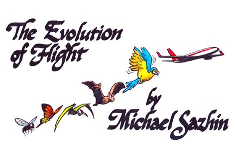 Evolution Of Flight - How Birds and Planes Evolved Flight