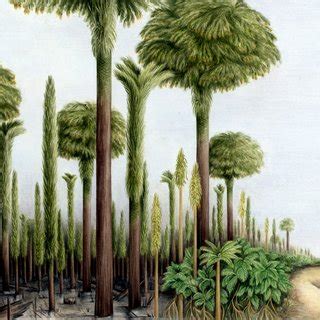 Paleozoic Plants | Request PDF