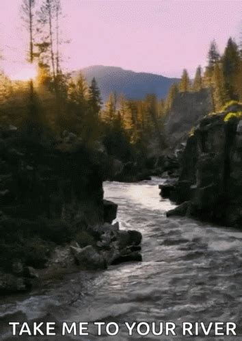 River Calm GIF - River Calm Take Me To Your River - Discover & Share GIFs