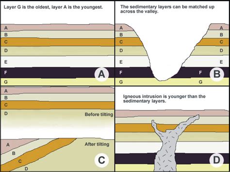 Law Of Superposition Fossils