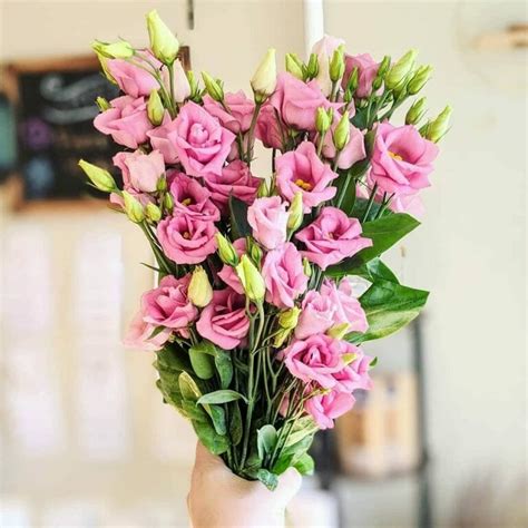 22 Best Florists for Flower Delivery in Baltimore, MD - Petal Republic