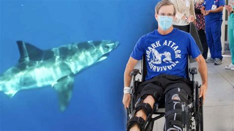 Great White Shark Attack Survivor Speaks Out From Hospital Bed | Inside Edition