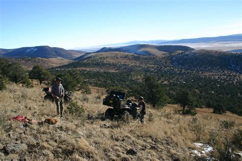 Elk Hunting Adventure - A Great Christmas Gift! - Elk Hunters Guide