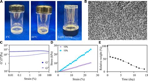 Frontiers | A three-dimensional actively spreading bone repair material based on cell spheroids ...