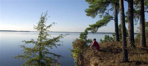 Atlanta State Park — Texas Parks & Wildlife Department