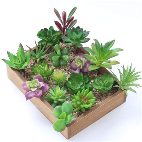 Veronica Mixed Artificial Succulent Plants Unpotted Fake Succulents Plants Bulk | eBay