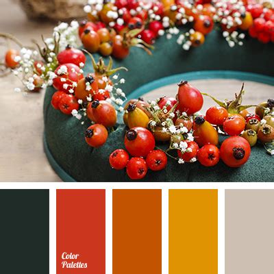 tangerine color | Color Palette Ideas