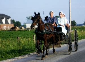 Indiana Amish - Amish America