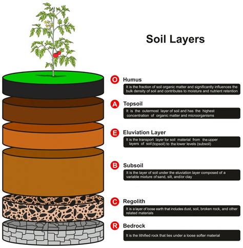 Layers Of Soil Definition Description With Diagram Soil | The Best Porn Website