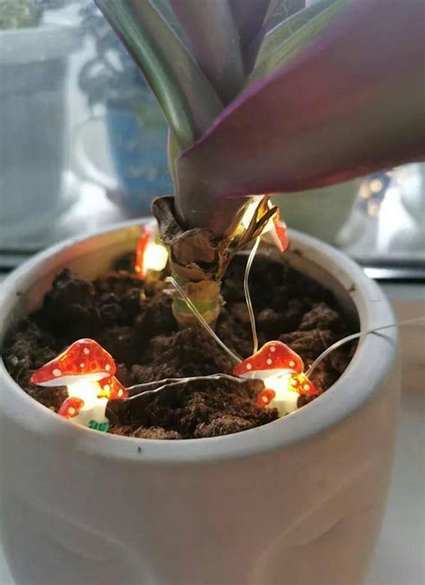 Mushroom Fairy String Lights - Shop Online on roomtery