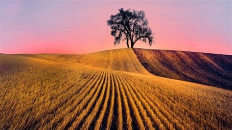 Rolling Hills at Sunset, The Palouse, Eastern Washington | Palouse, Landscape, Sunset