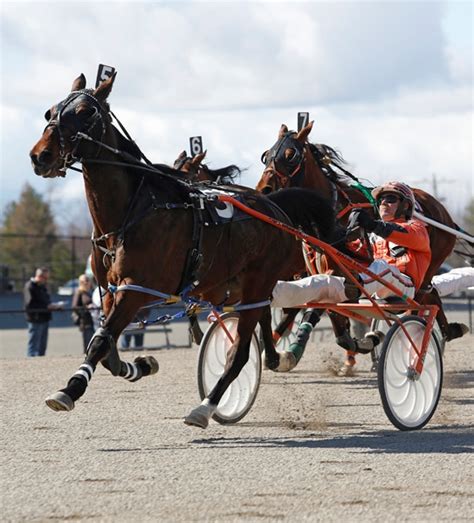 Scarborough Downs Harness Race Track - Visit Maine