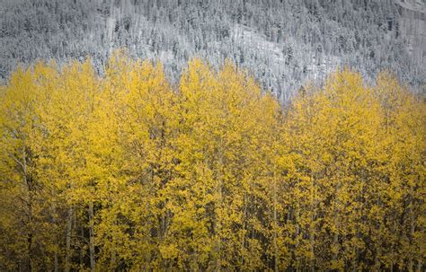 Wallpaper - Change of Seasons - Paul Zizka Photography