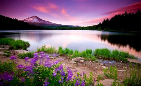 Download Scenic Photos Beautiful Scenery Photos Download - Beautiful ...