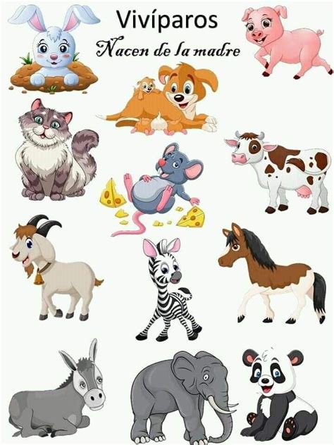 Animales vivíparos – Artofit