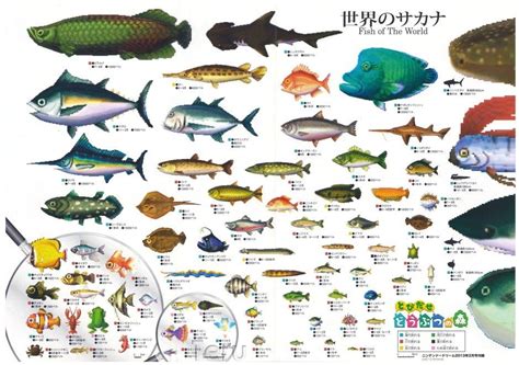 Fish | Animal crossing fish, Animal crossing, Animal crossing game